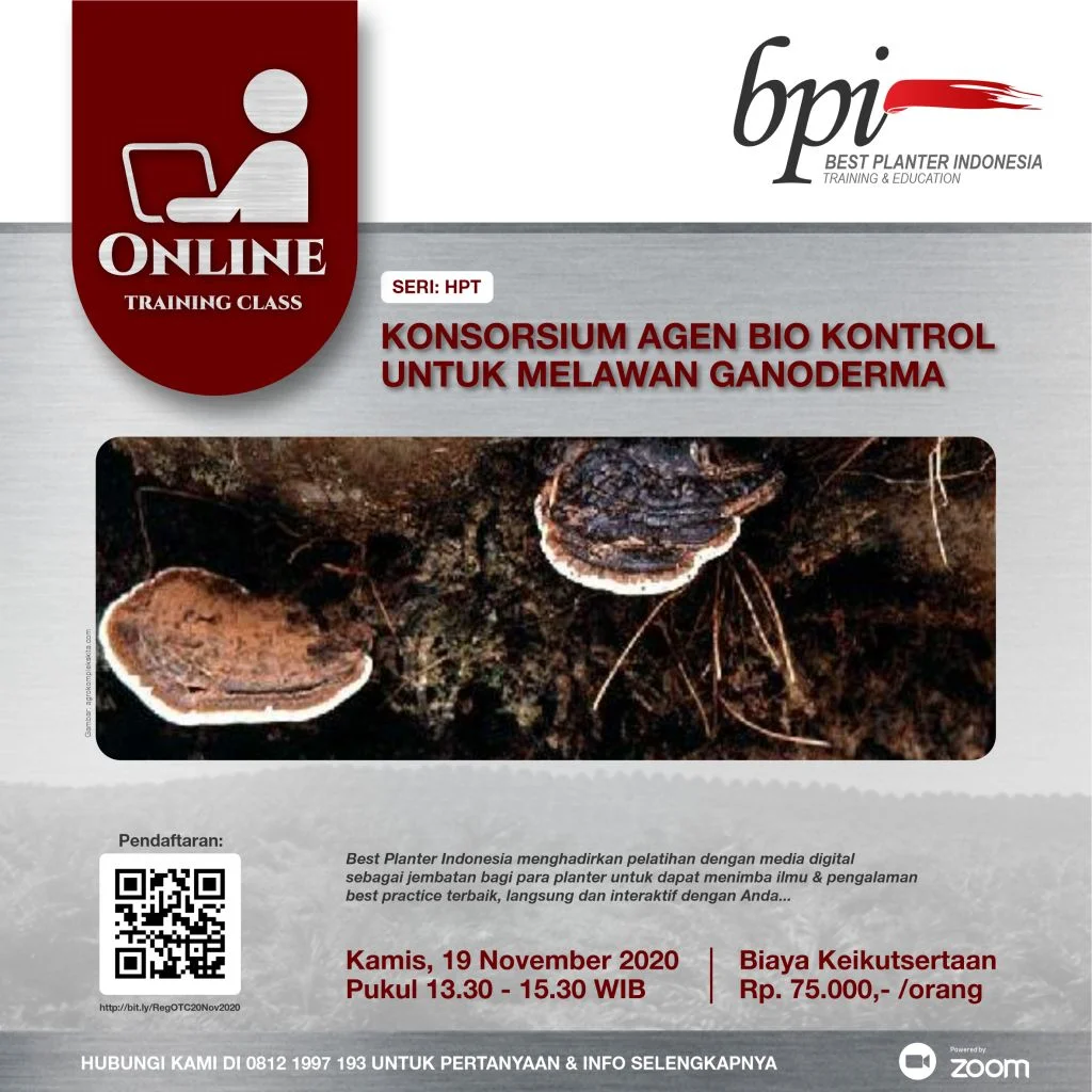 Seri HPT KONSORSIUM AGEN BIO KONTROL UNTUK MELAWAN GANODERMA