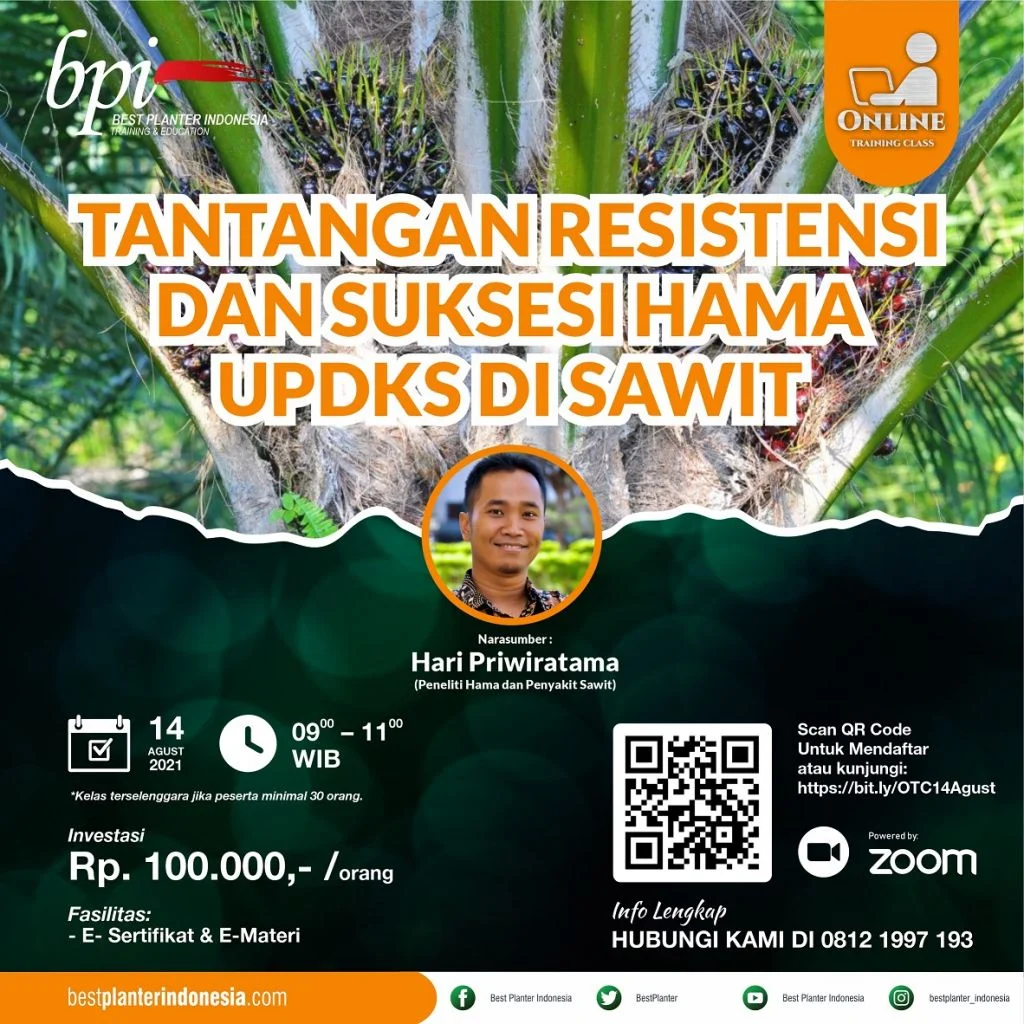 FLAYER OTC 14 AGUST