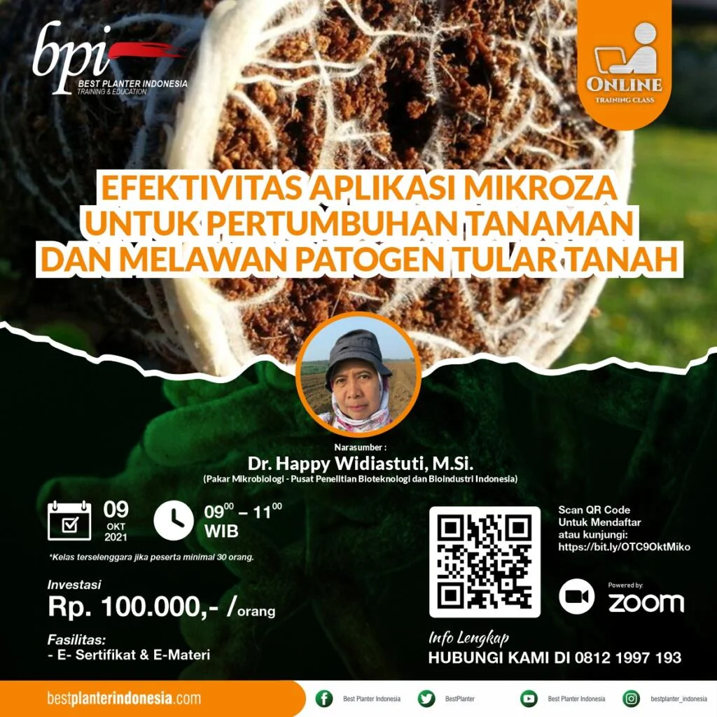 OTC 9 OKT 2021 MIKORIZA