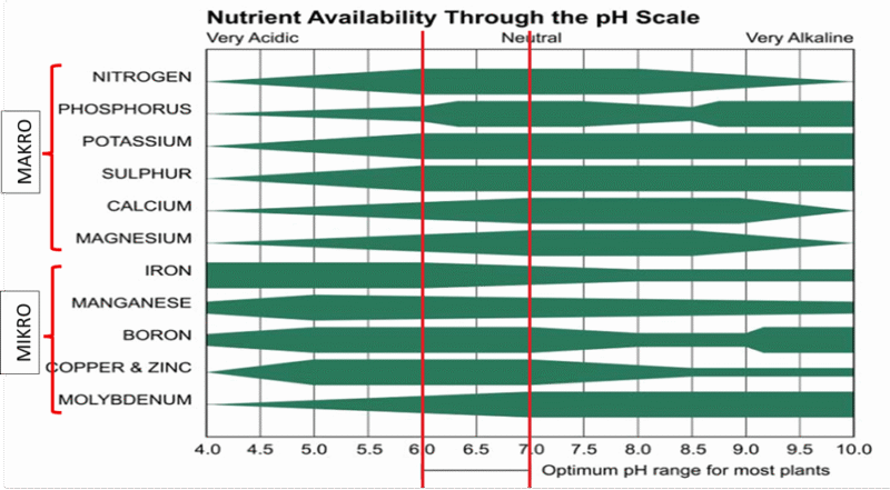 Gambar artikel pupuk