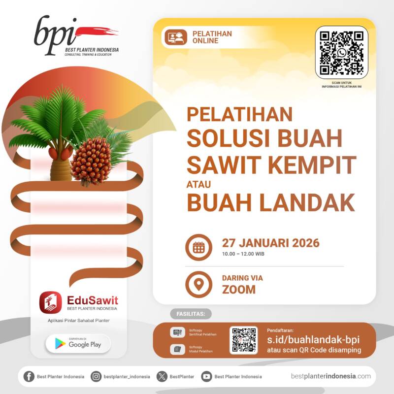 ONLINE – BUAH KEMPIT