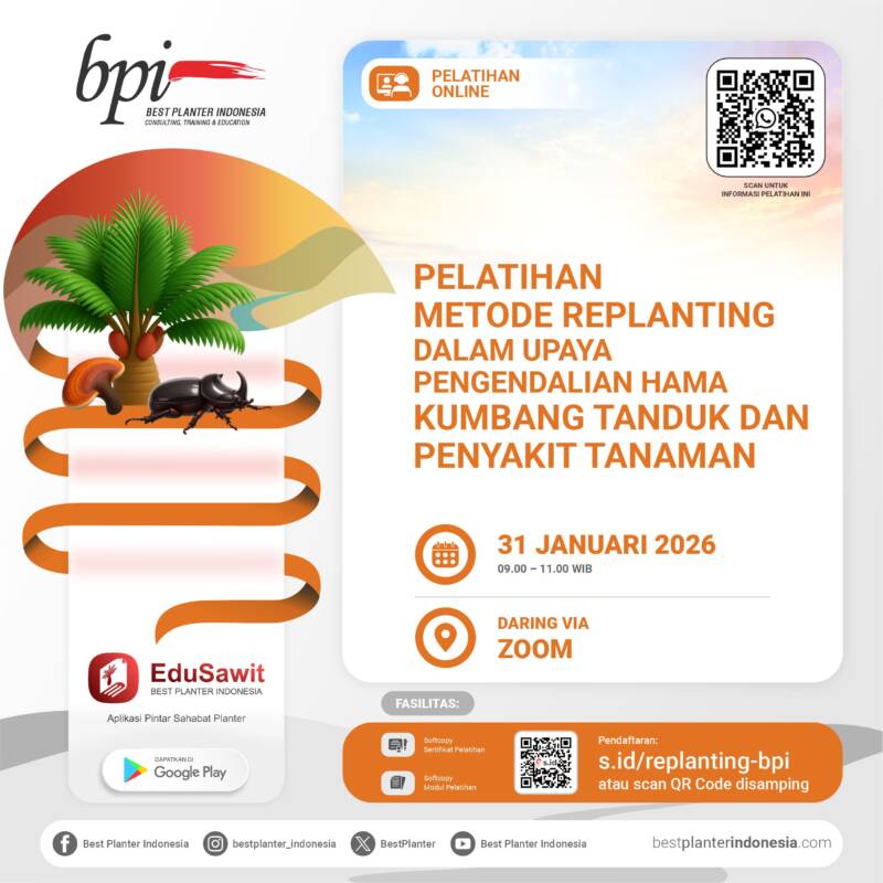 ONLINE – REPLANTING