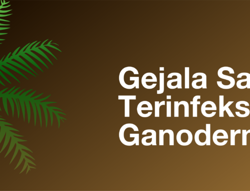 Gejala Tanaman Terinfeksi
