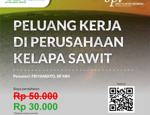 PELUANG KERJA DI PERUSAHAAN SAWIT